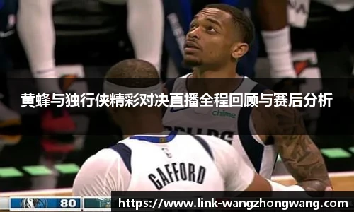 王中王资料