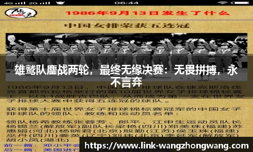 王中王资料大全