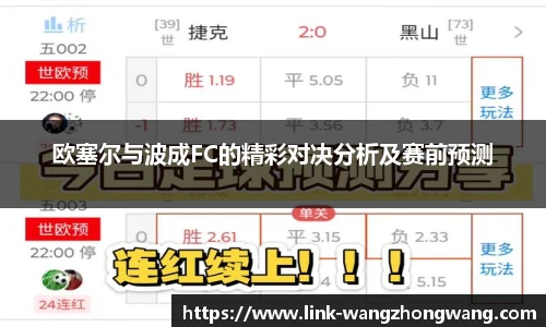 王中王资料